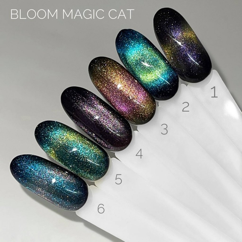 Magic Cat 1-6.jpeg Magic Cat 1-6.jpeg