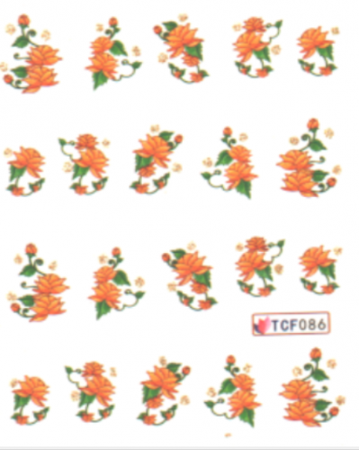 Слайдер-дизайн TCF086