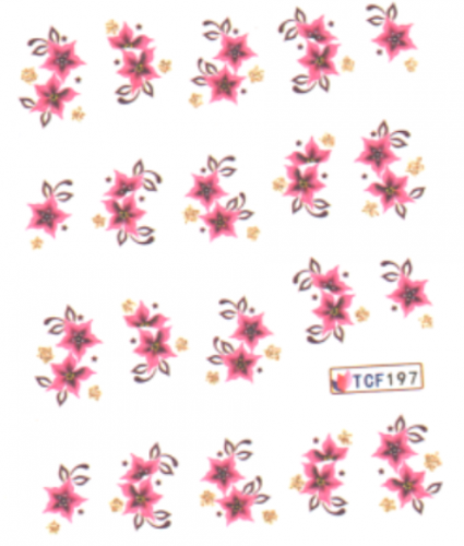 Слайдер-дизайн TCF197