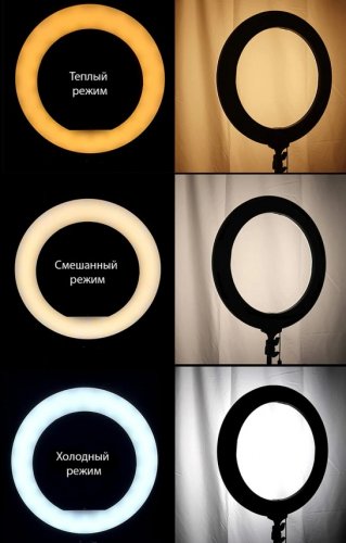 Кольцевая светодиодная лампа со штативом для профессиональной съемки Ring Fill Light 26 см