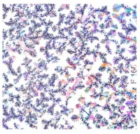 Водные наклейки для ногтей  (слайдер-дизайн) F168 синий голографик